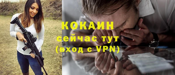 mdpv Горняк