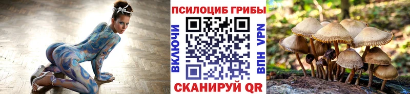 Купить закладки  Кузнецк  Псилоцибиновые грибы MAGIC MUSHROOMS 